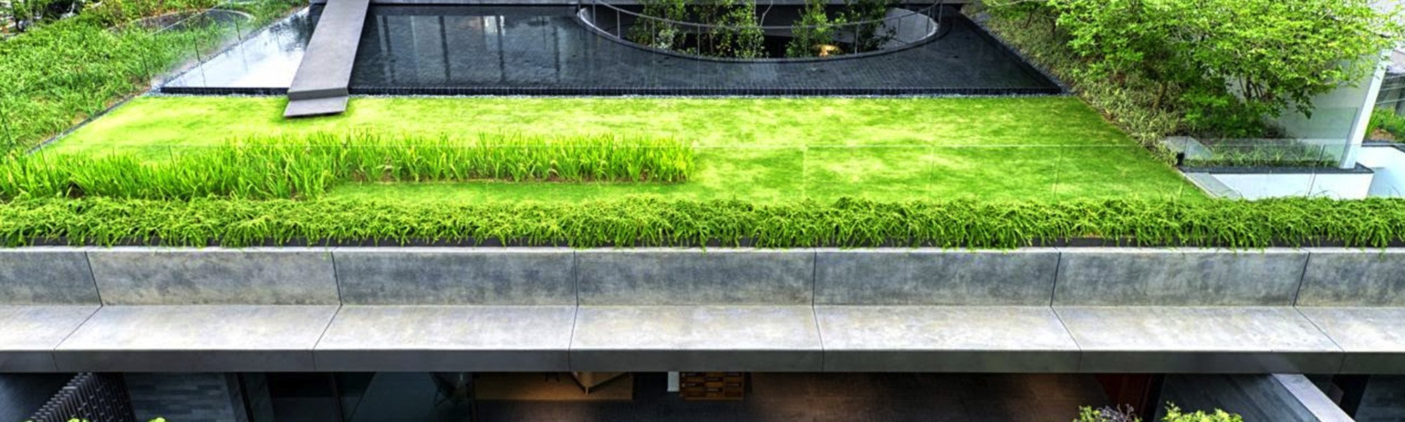 _0002_Garden Roofs 4- Webpage.jpg